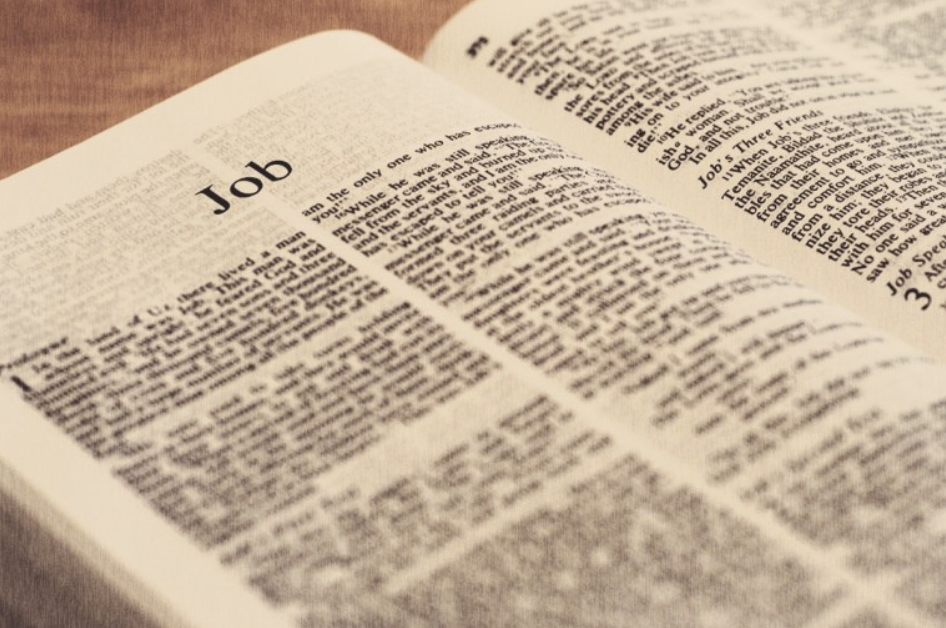 La sagesse souveraine de Dieu et sa justice : les déterminants du fonctionnement du monde (Le livre de Job)
